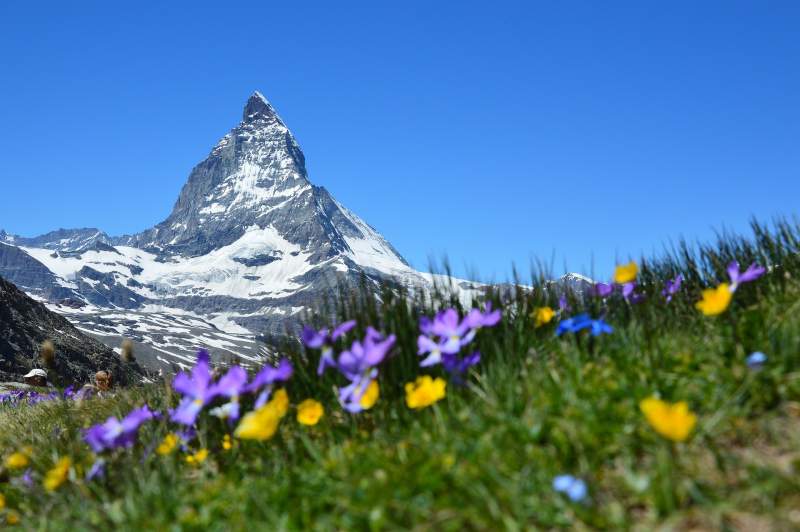Alpine Majestic Switzerland