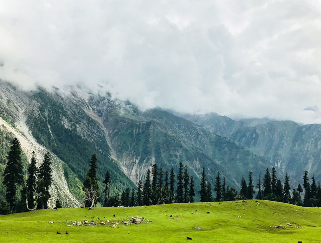 Kashmir Travel update reported by Lufthansa City Center Travels & Rentals